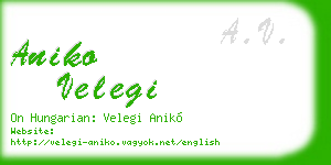 aniko velegi business card